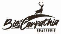 logo website