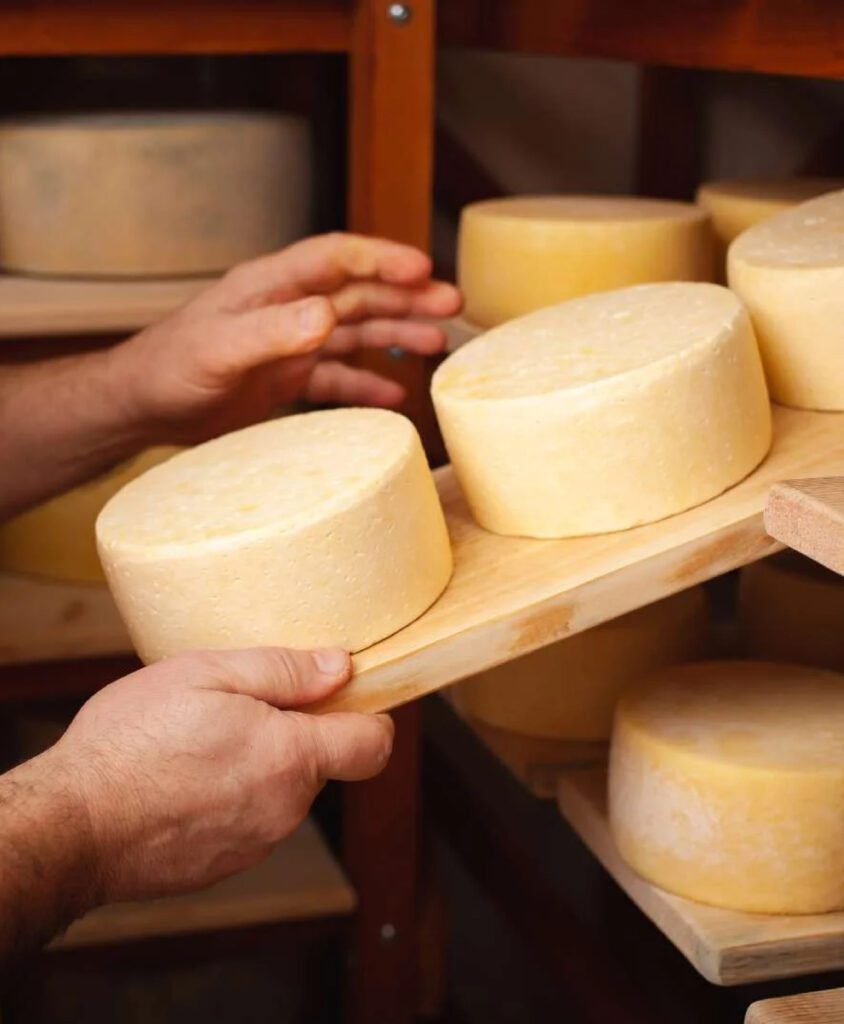 Cascaval Bio Carpathia pus la maturat